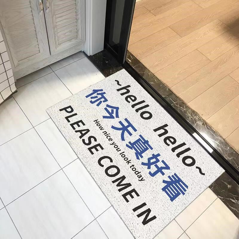 客厅门垫防油浴室丝圈地垫防滑A宿舍脚垫大面积入户门垫子防水防
