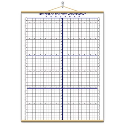 体态评估表挂式贴式体测健身房瑜伽馆私教身高臂展网格身体对比图