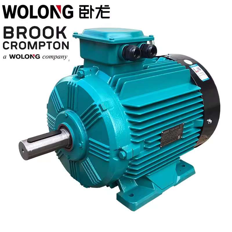 卧龙电气IE2/IE3/WE3/WE4/WE5/YE4系列三相异步电机厂家电动机