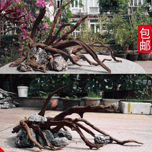 沉木造景套餐 水草缸玻璃鱼缸长方形 中型O玻璃水族箱免换水造景