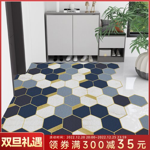 入户门皮c革地垫大门口进门门垫家用pvc脚垫玄关地毯防滑免洗可擦