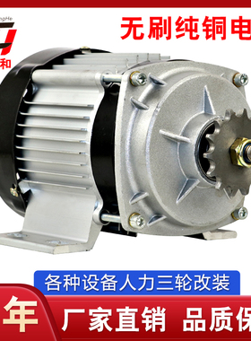 电动三轮车电机48V500W电机650W8C00W1200W小功率中置永磁无刷减