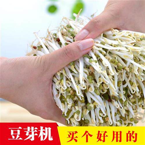 陶瓷豆芽罐保湿更好豆芽更好全自动家用豆芽机非土陶紫砂
