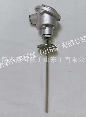 山东新华灭菌柜温度探头PT100铂热电阻XH-PT1-243101-150