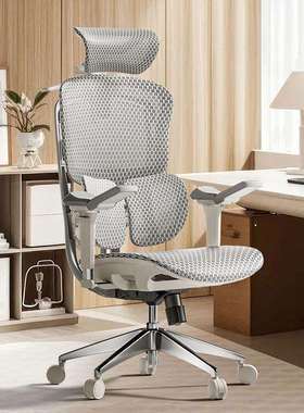 Ergoup/有谱慧眼A人体工学椅电脑椅子舒服久坐办公座椅电竞椅