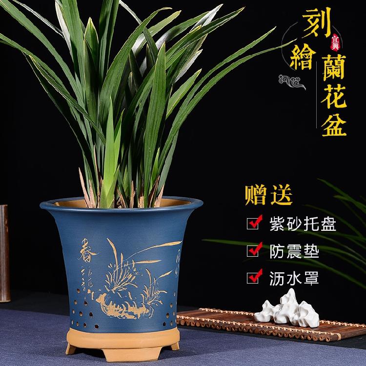宜兴紫砂花盆兰花盆段泥刻绘带托盘君子兰蕙春兰盆栽虎皮兰专