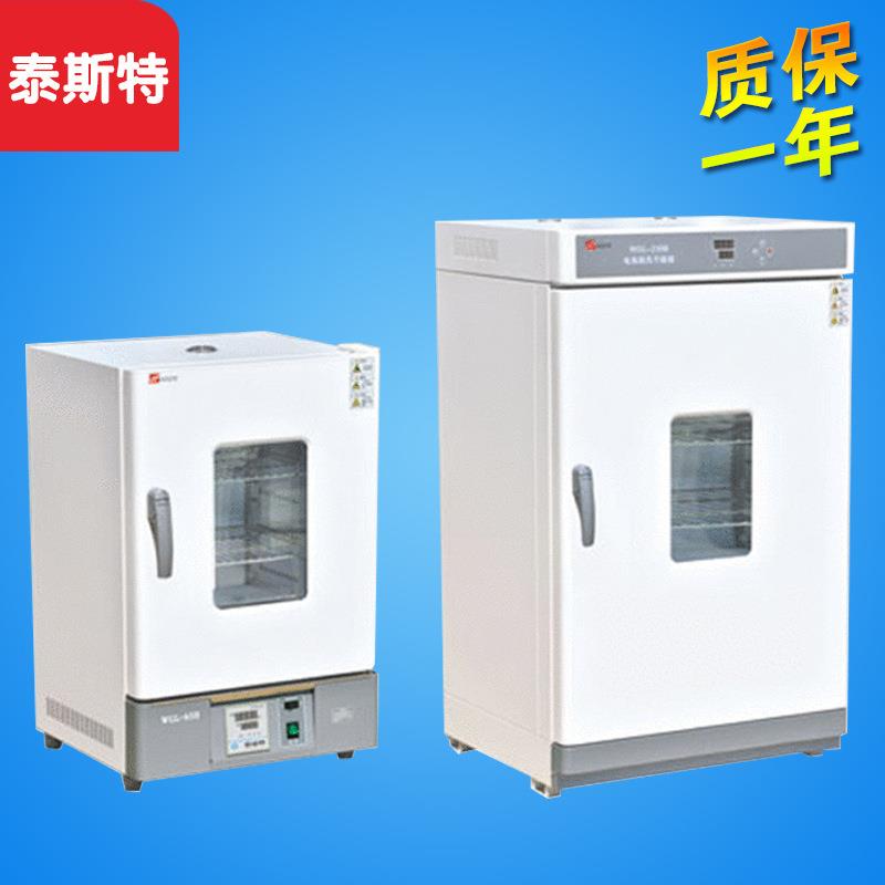 天津泰斯特WGLL-30BEWGLL-65BE电热鼓风干燥箱300度烘箱