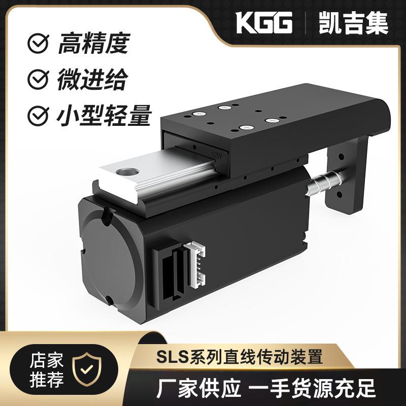 小型高精度电缸SLS42精密导轨型电动推杆DR2直线传动装置