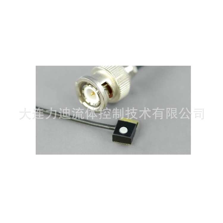 供应德国Heinz Walz便携式光合荧光测量系统 叶绿素荧光计ULM-500