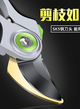 果树修枝剪刀修枝剪粗枝修剪树枝剪刀花艺花剪园艺林专用剪枝神器
