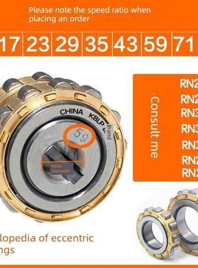 摆动销减速器偏心轴承Rn205 Rn206 Rn307 Rn309 Rn312 m 502205