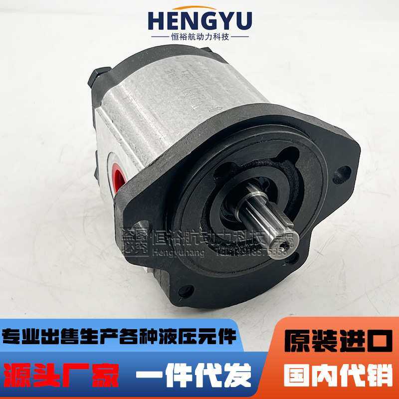 力士乐REXROTH齿轮泵AZPW21005RQRXXMBS0593 AZPN12020RCB20B油泵