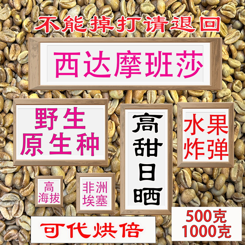 巨像西达摩咖啡豆埃塞尔比亚进口
