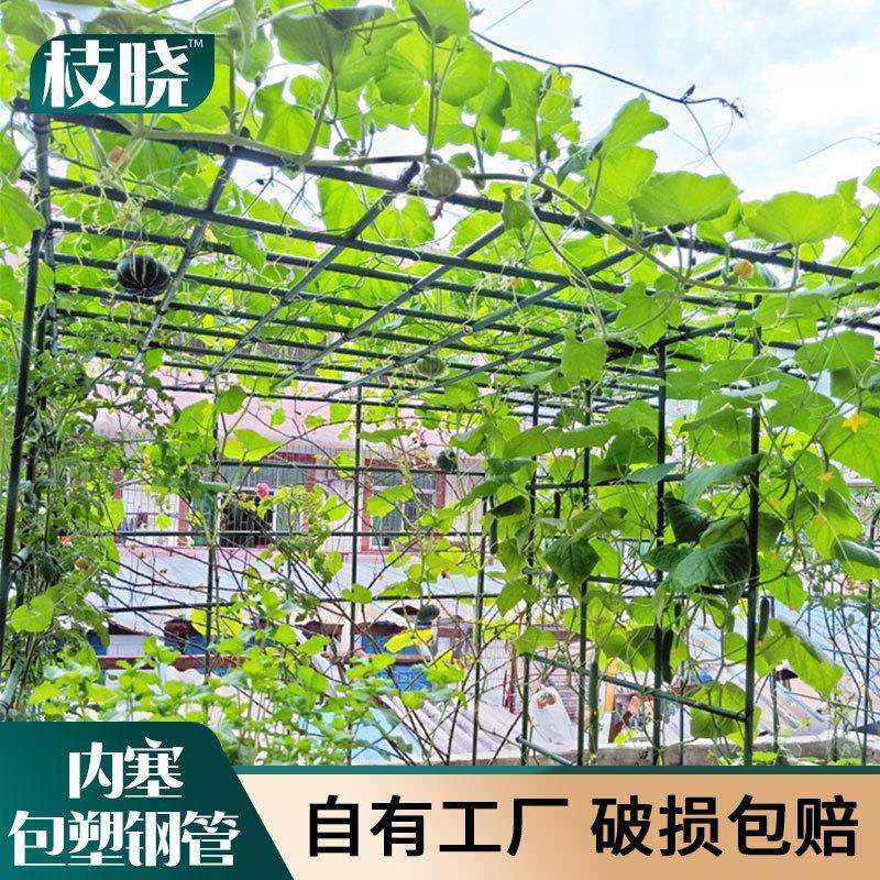户外庭院园艺葡萄架爬藤花架组装支架黄瓜丝瓜豆角月季植物攀爬架