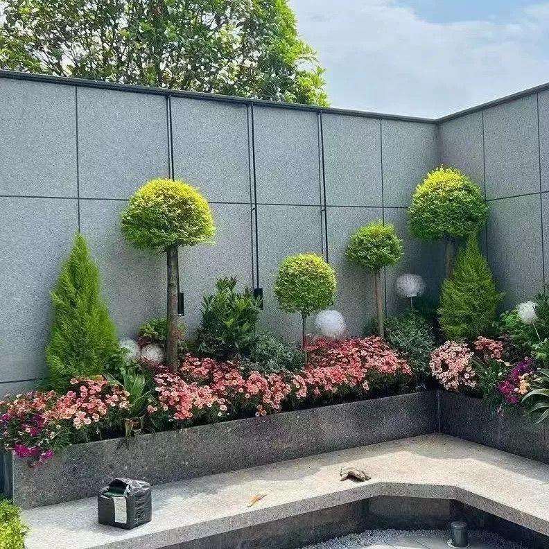 花园花境花镜庭院组合耐寒植物园林户外设计绿植别墅耐热搭配