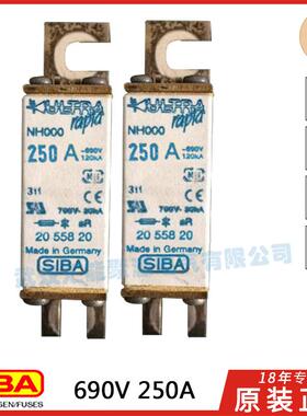 西霸SIBA保险丝2028221NH00063A80A100A200A250A690V/700