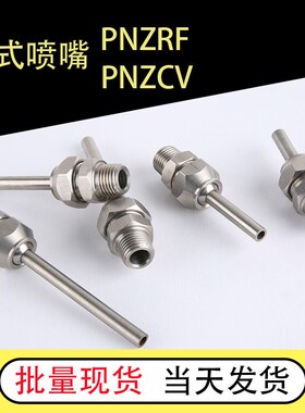 高压点式喷嘴 NHR21-1/2/5-d3/4/6/8/10-L10/30/50 PNZRF/PNZCV