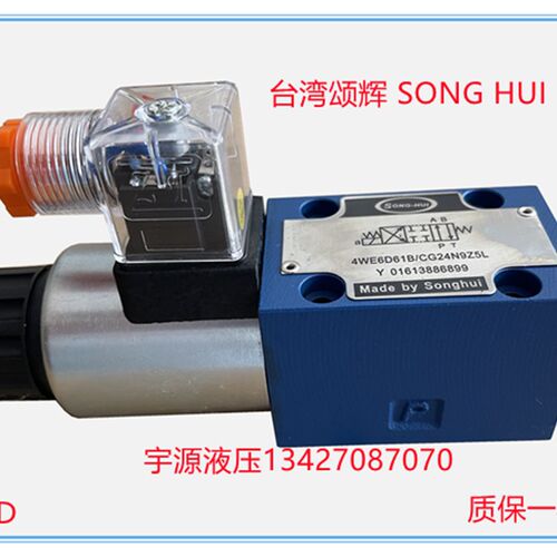 4WE6A 6D 6C 6EA 6HA 61B/CW220-50N9Z5L液压电磁换向阀CG24N9ZL