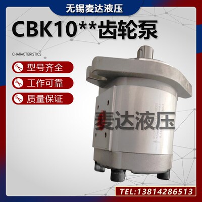 齿轮泵CBK1012 CBK1016 CBK1020 CBK1025-B1FR B1FL A1FR液压油泵