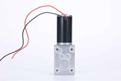 GW4058-31ZY有刷直流涡轮蜗杆减速电机12v24V自动窗帘机自锁马达