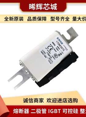 170M3975 170M39754 低压快速熔断器  型号齐全 全新原装 现货