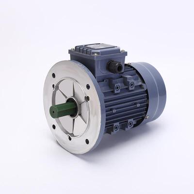 YS8024 750W立式大法兰 用在RV减速机设备