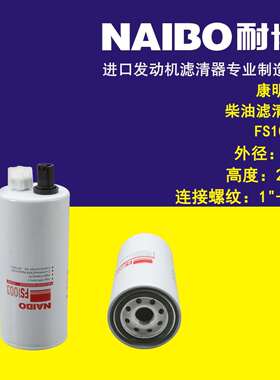 FS1003柴滤 FS19596 P551103
