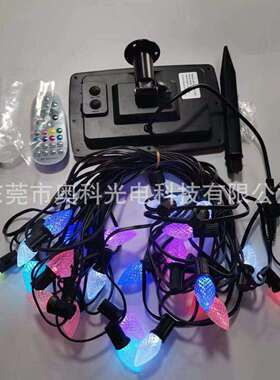 太阳能5V48FT双排线C9双芯草莓25灯 跨境工厂货源 幻彩庭院花园节
