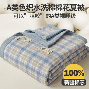 A类水洗棉花夏凉被双人空调被夏季 单 可机洗被芯230夏V天被子薄款