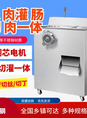 丹元绞切机商用多功能不锈钢绞肉机切片切丝机灌肠机绞切一机三用