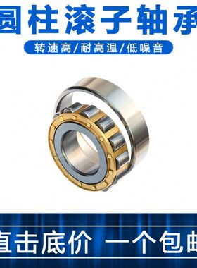 二类圆柱滚子轴承102208 102209 102210 102305 102306