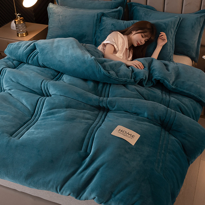 冬季保暖加厚10斤牛奶绒冬被双面法兰绒珊瑚N绒被子不掉毛丝棉被