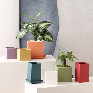 加伦花盆平面高j正方形陶瓷带托盘北欧莫兰迪纯色大小号多肉绿植