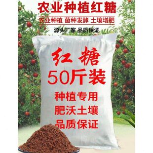 发酵用红糖农业专用种植红糖粉植物酵素酵母粉农用种菜果树蔬菜肥