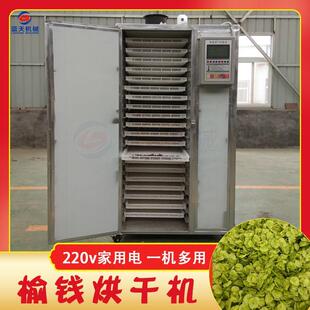 榆钱烘干机 小型电加热榆钱儿榆钱树叶烘干箱 榆实榆子脱水烘干房
