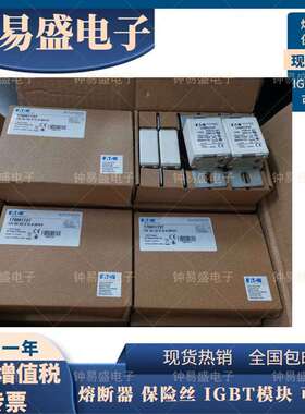 Bussmann巴斯曼170M1737 170M1738 170M1739熔断器 保险丝