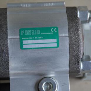 全系齿轮泵 排量31 液压马达 02ZMAG31C043R 意大利RONZIO罗茨