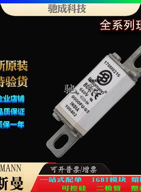 巴斯曼170M0216 170M0217 170M0220 现货直销价优 特种保险丝