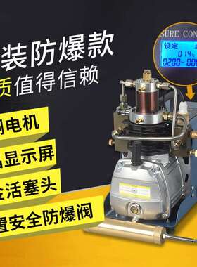 电动高压充气泵30mpa 打气机40mpa 水冷单杠 4500psi 6000psi停机