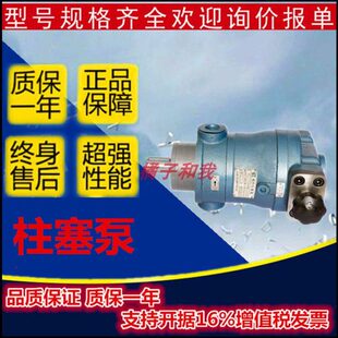峰/玉32/轴向柱塞泵100SC4013上海06/801416销Y/1625-/10250//B//