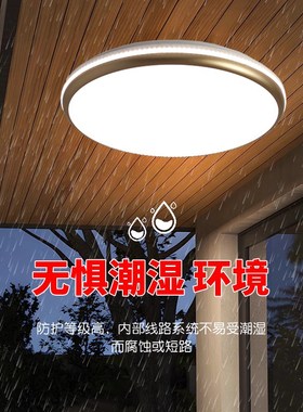 农村自建房屋檐阳台灯大门口庭院入户H灯楼梯灯户外走廊过道吸顶