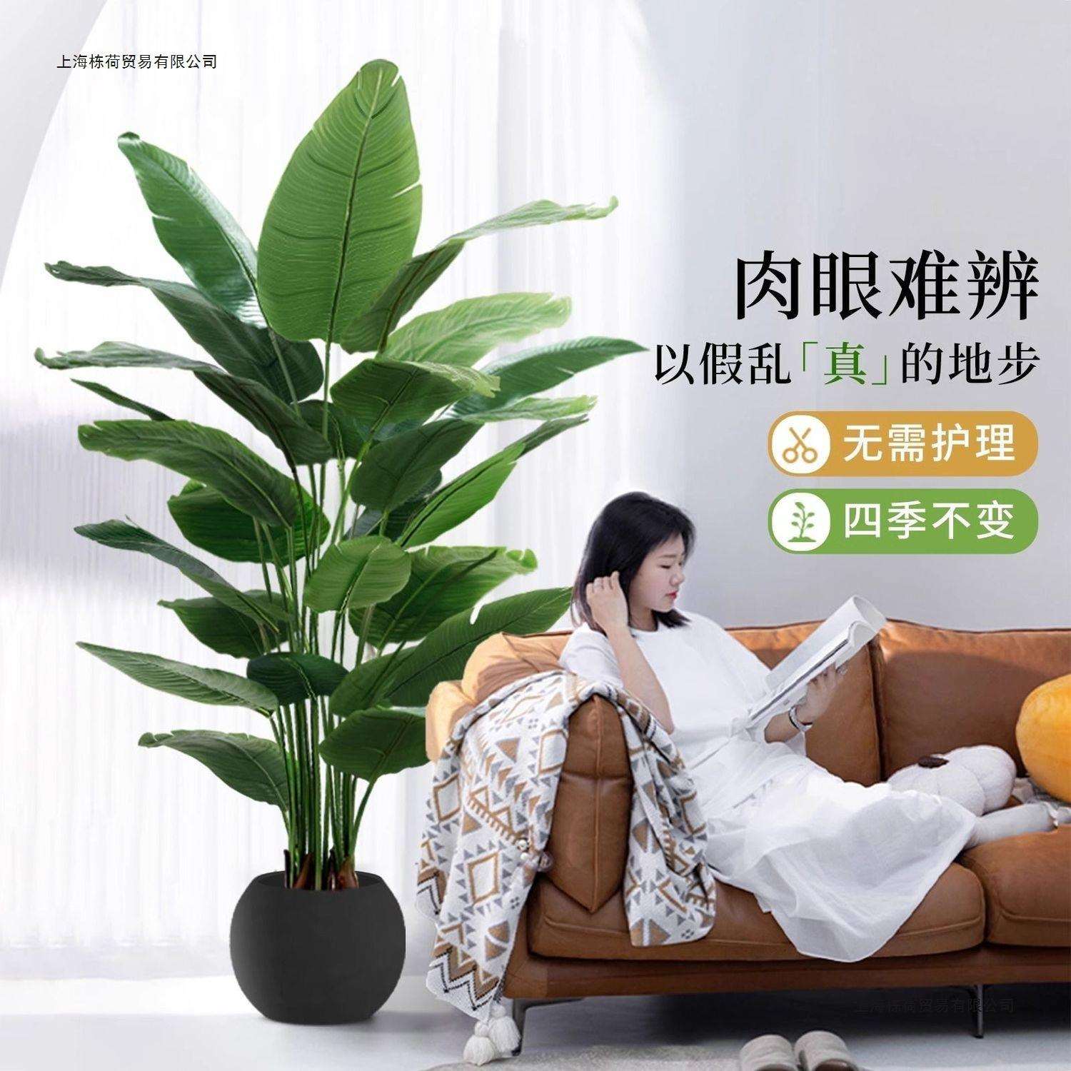 仿真绿植天堂鸟植物轻奢室内大型仿生盆栽摆件客厅装饰落地假花树