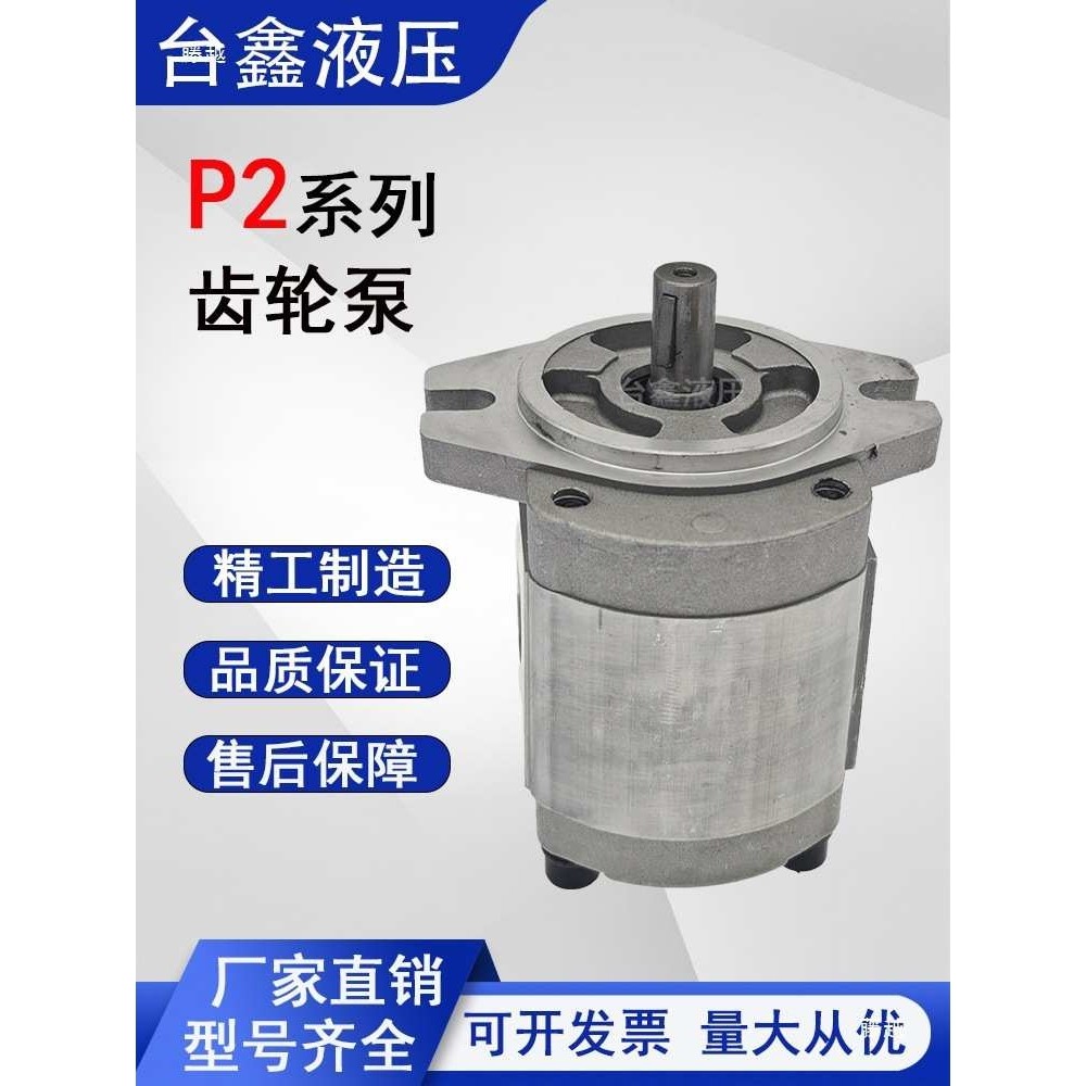 高压液压齿轮泵油泵P204RT01DT/P208RT01DT/P211/P214/P216/P219