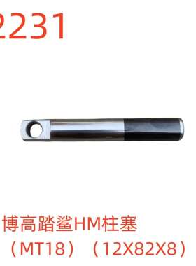 博高踏鲨HM柱塞（MT18）（12X82X8）-52231号