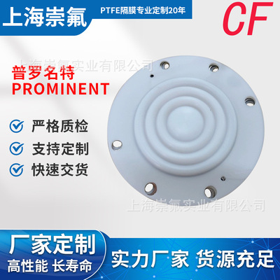 普罗名特ProMinent计量泵ptfe隔膜