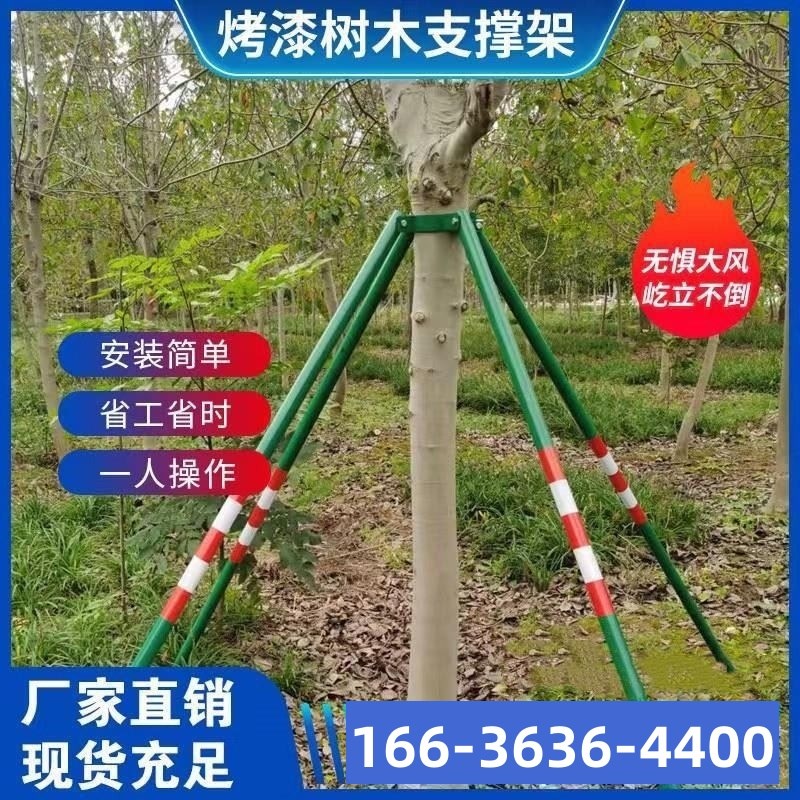 树木支撑固定器绿化行道苗木支撑架镀锌烤漆钢管铁抱箍防风支撑杆