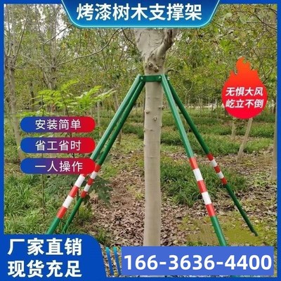 树木支撑固定器绿化行道苗木支撑架镀锌烤漆钢管铁抱箍防风支撑杆