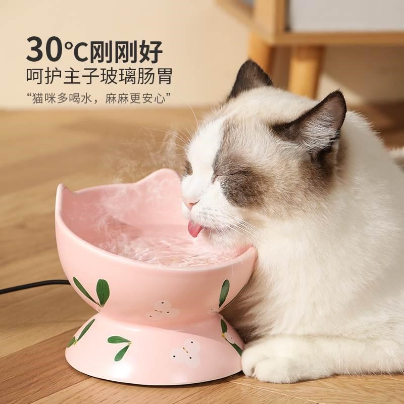 猫咪恒温饮水机宠物加热冬季喝水保温狗狗喝水器自动猫用温水猫碗
