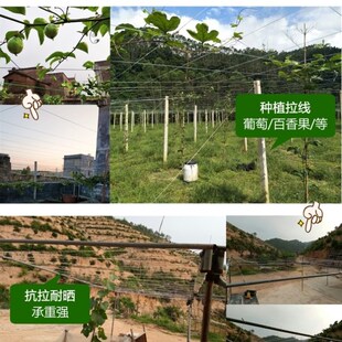 用的压线支撑线钢塑葡萄架花棚支架棚架搭架丝果园塑钢线种植塑刚