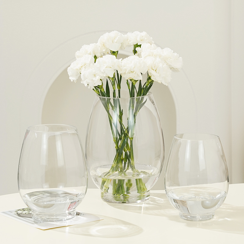 大号简约透明玻j璃花瓶网红龙蛋造型水养绿植鲜花鱼缸桌面摆件装